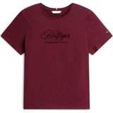 TOMMY HILFIGER Shirt  bordeaux / zwart