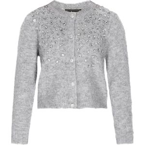 faina Gebreid vest  lichtgrijs