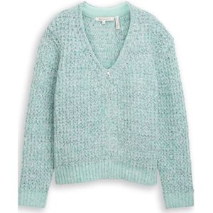 TOM TAILOR DENIM Gebreid vest  mintgroen