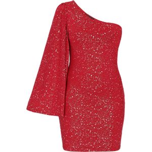 faina Cocktailjurk  bourgogne / zilver