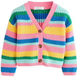 Next Gebreid vest  blauw / citroen / groen / lichtroze