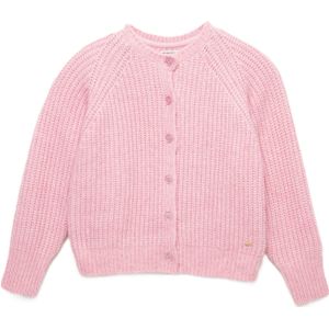 BIG STAR Gebreid vest ' ROSINA '  rosa