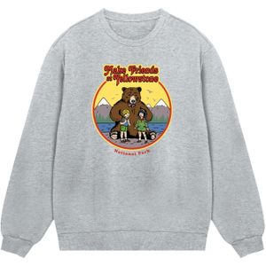F4NT4STIC Sweatshirt 'US National Parks Make Friends At Yellowstone'  bruin / geel / grijs / rood