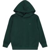 Tommy hilfiger hoodie maat 128/8J