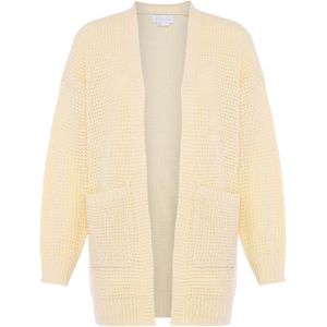 BLONDA Gebreid vest  pasteelgeel