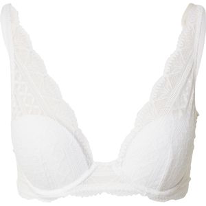 ETAM BH 'IDOLE'  wit