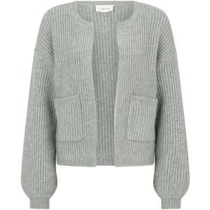 Cartoon Gebreid vest  grijs