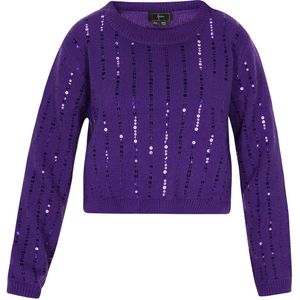 faina Trui  violetblauw
