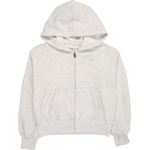 Abercrombie & Fitch - ESSENTIAL - Sweatvest - Grijs