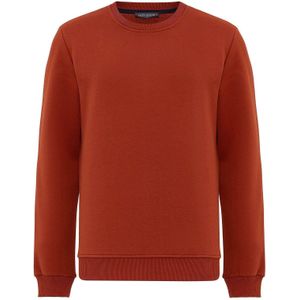 Jacey Quinn Sweatshirt  grijs / oxide / zwart / wit