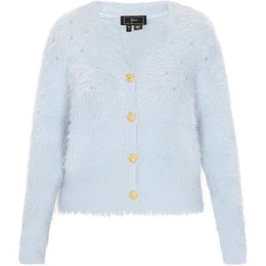 faina Gebreid vest 'Fashion Look'  lichtblauw