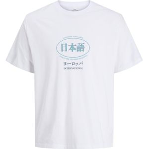 JACK & JONES - JORSoutheast Gallery - Shirt - Azuur - Donkergrijs - Smaragd - Wit