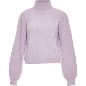 usha BLUE LABEL Trui  lavendel