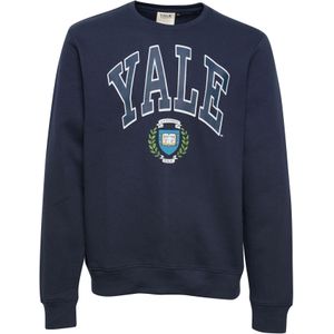 BLEND Sweatshirt  lichtblauw / donkerblauw / groen / wit