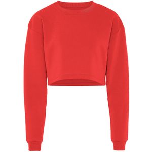 Flyweight Sweatshirt  rood
