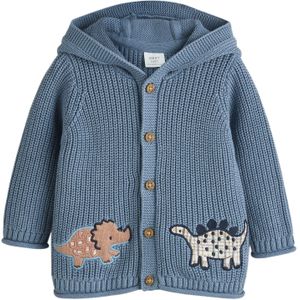 Next Gebreid vest  duifblauw / bruin / wit