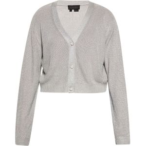 NAEMI Gebreid vest  grijs gemêleerd