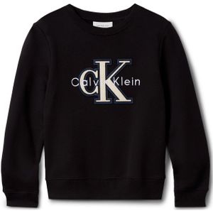Calvin Klein - FESTIVE MONO - Sweatshirt - Ck black - Regular Fit