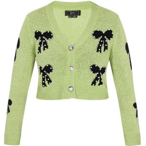 faina Gebreid vest  lichtgroen / zwart