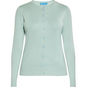 SANIKA Gebreid vest  mintgroen