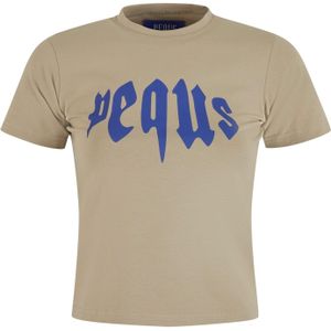 Pequs Shirt  blauw / grijs