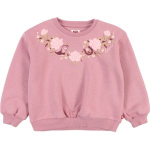 Levi's Kids Sweatshirt 'ROSE FRONT'  lichtgroen / pruim / rosé / wijnrood