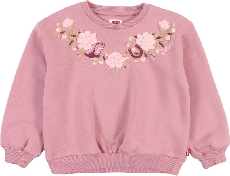 Levi's Kids Sweatshirt 'ROSE FRONT'  lichtgroen / pruim / rosé / wijnrood