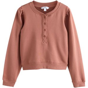 Next Sweatshirt  bruin