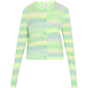 MYMO - Gebreid Vest - Groen/Lila - Lange Mouw - Normale Pasvorm