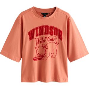 Next Shirt  oudroze / rood