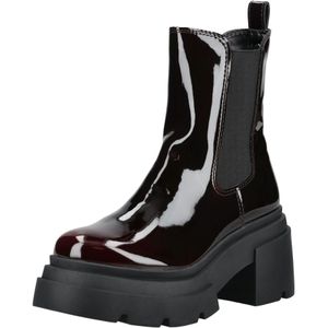 STEVE MADDEN Chelsea boots  donkerrood