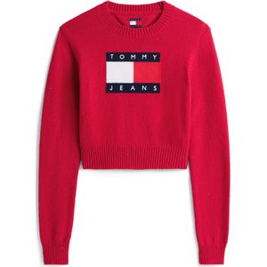 Tommy Jeans Trui  navy / rood / wit