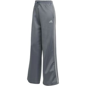 ADIDAS SPORTSWEAR Sportbroek 'STADIUM'  grijs / donkergrijs