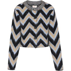 IZIA Gebreid vest  beige / pastelblauw / zwart
