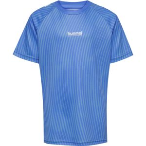 Hummel Functioneel shirt 'Goal'  royal blue/koningsblauw / duifblauw / wit