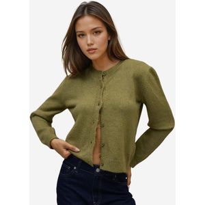 Hiccup Gebreid vest  groen