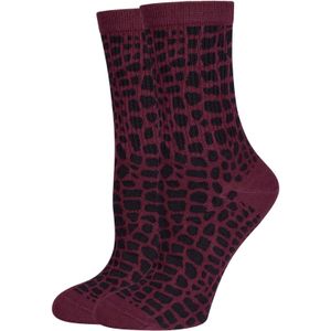 JOOP! Sokken  wijnrood / zwart