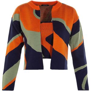 Trendyol Gebreid vest  navy / appel / oranje
