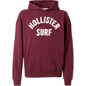 HOLLISTER Sweatshirt  bourgogne / wit