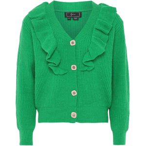 faina Gebreid vest  grasgroen