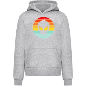 F4NT4STIC Trui 'Alien Retro Sonnenuntergang'  grijs gemêleerd / gemengde kleuren