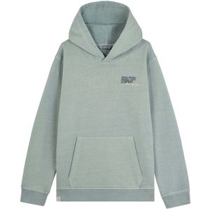 Scalpers Sweatshirt 'Typeskull'  greige / donkergrijs / mintgroen