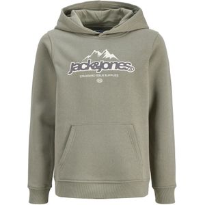 Jack & Jones Junior Sweatshirt 'JCOFlare'  grijs / riet