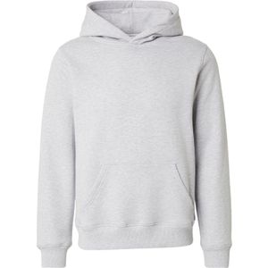 DAN FOX APPAREL Sweatshirt 'Arvid'  grijs gemêleerd