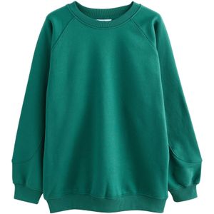 Next Sweatshirt  donkergroen