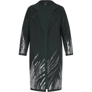 faina Gebreid vest  donkergroen / zilver