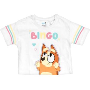 Bluey Shirt 'Bluey & Bingo'  lichtblauw / geel / oranje / pink