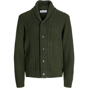JACK & JONES Gebreid vest  groen