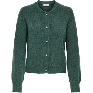 JDY Gebreid vest 'JDYLUMI'  groen