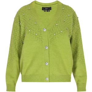 faina Gebreid vest  groen